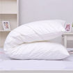 Εικόνα για Ολόσωμο Μαξιλάρι Body Pillow SoftBody 50x160εκ. Linen House