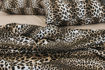 Εικόνα για Σετ Βαμβακερά Σεντόνια 160tc Jafar Leopard 160x270 & 1 Μαξιλαροθήκη 50x70