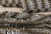 Εικόνα για Σετ Βαμβακερά Υπέρδιπλα Σεντόνια 160tc Jafar Leopard 240x270 & 2 Μαξιλαροθήκες 50x70